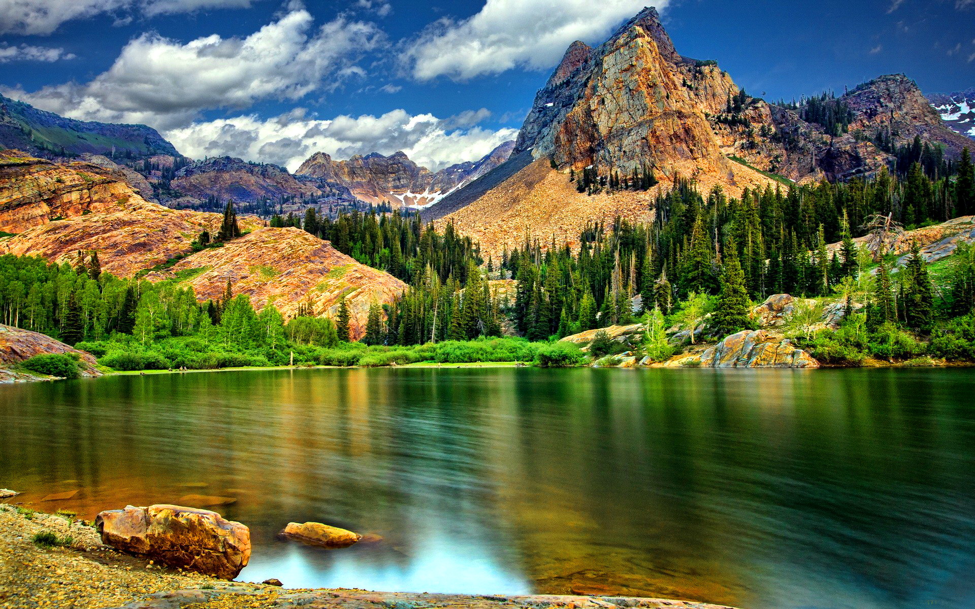 nature-photo